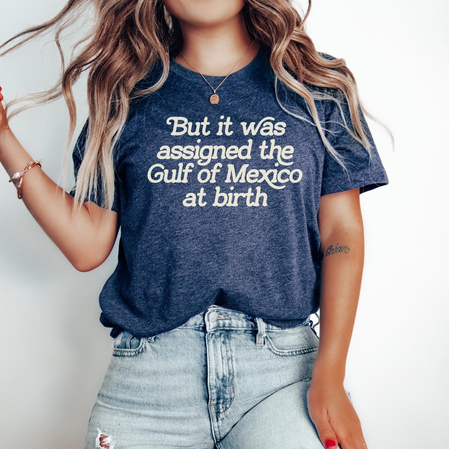 But It Was Assigned the Gulf of Mexico at Birth Unisex T-Shirt