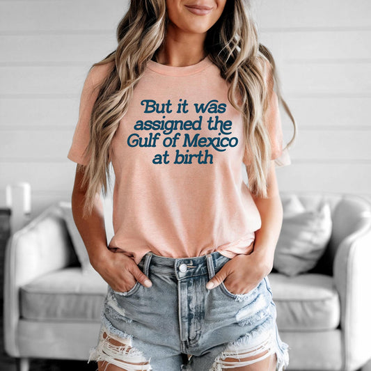 assigned the Gulf of Mexico at birth tshirt, deport elon tshirt, subtle f trump, are your eggs cheaper yet, hate never made America great