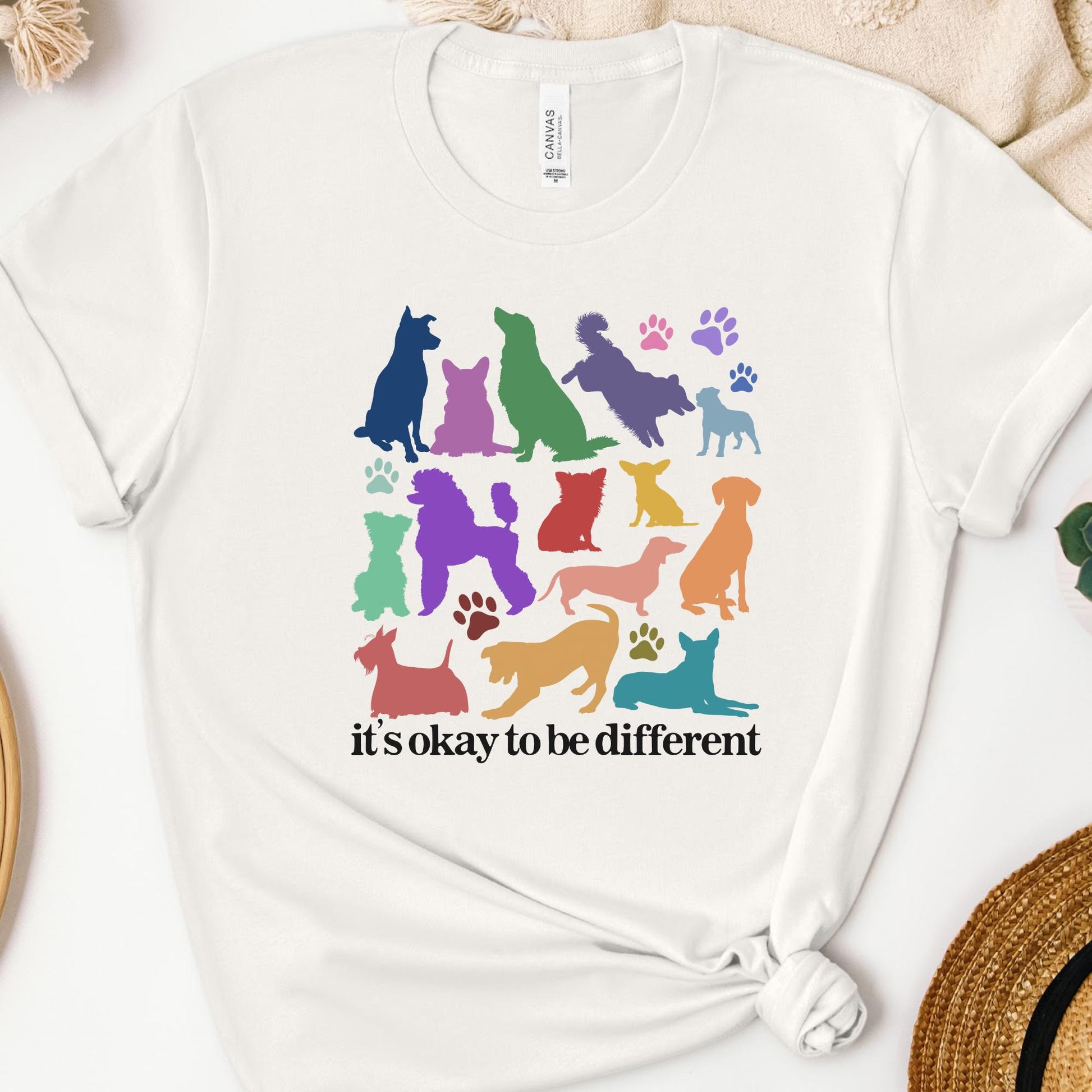 its okay to be different rainbow dog unisex shirt, celebrate diversity, celebrate minds of all kinds, sped teacher, everyone is welcome here