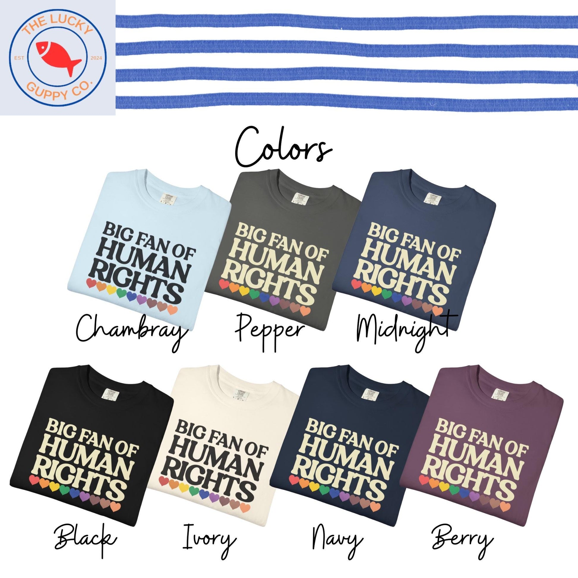 Big Fan of Human Rights Unisex TShirt, Defend Equality Rainbow Pride Shirt, Fight for Those Without Your Privilege, Create a Kinder World