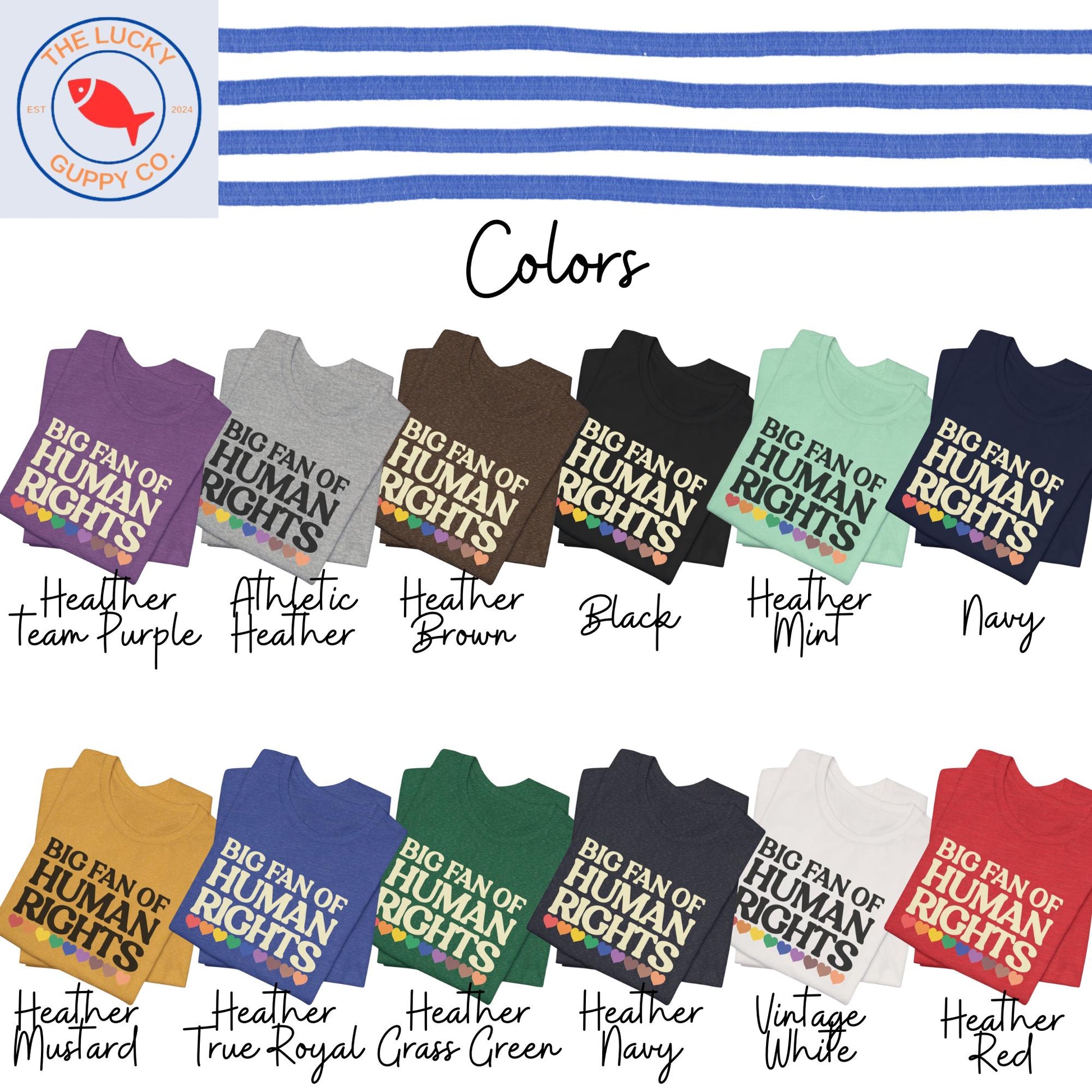 Big Fan of Human Rights Unisex TShirt, Defend Equality Rainbow Pride Shirt, Fight for Those Without Your Privilege, Create a Kinder World