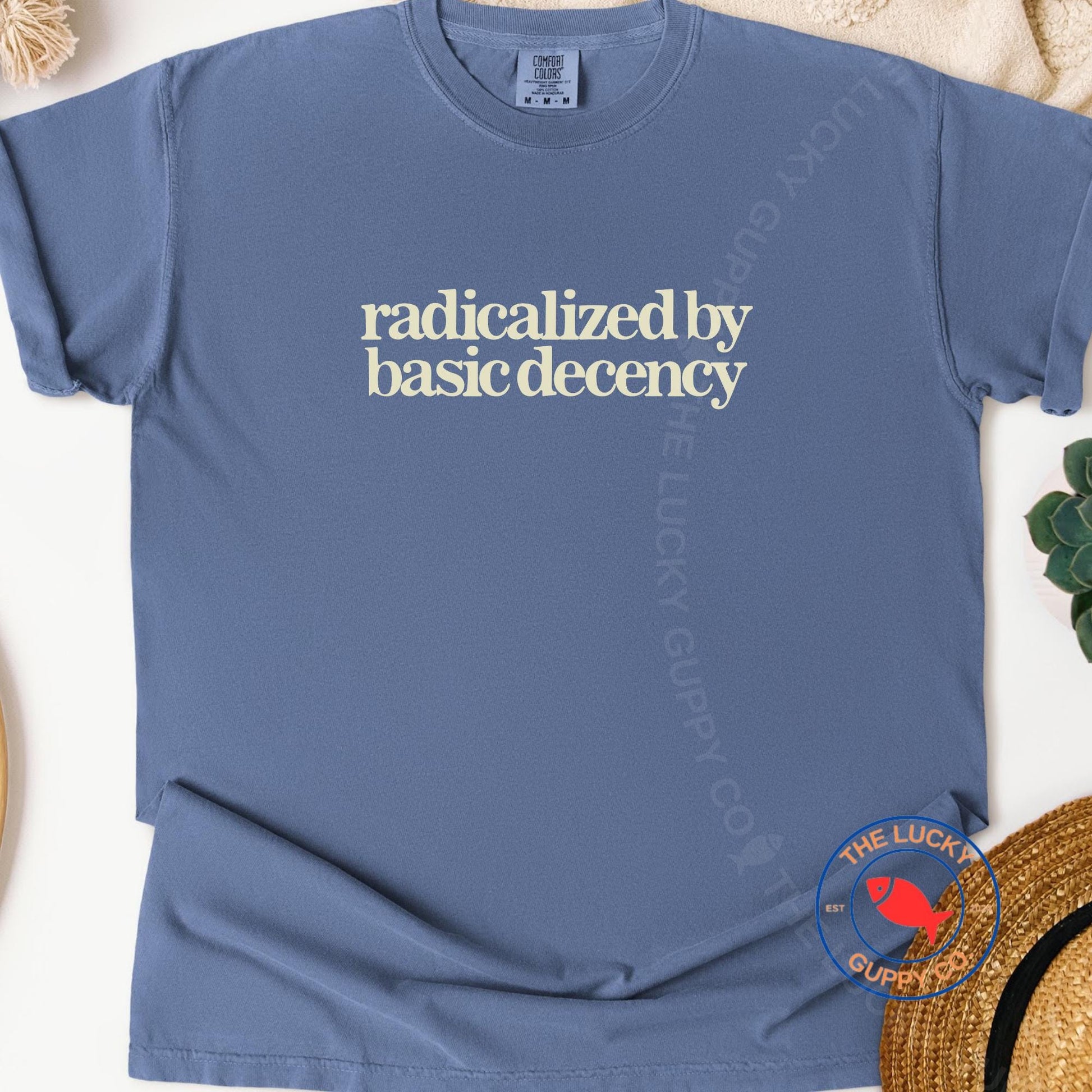 Radicalized by Basic Decency Minimalist TShirt, Make Empathy Great Again, Caring About other People is not Political, Be a Kind Human Shirt