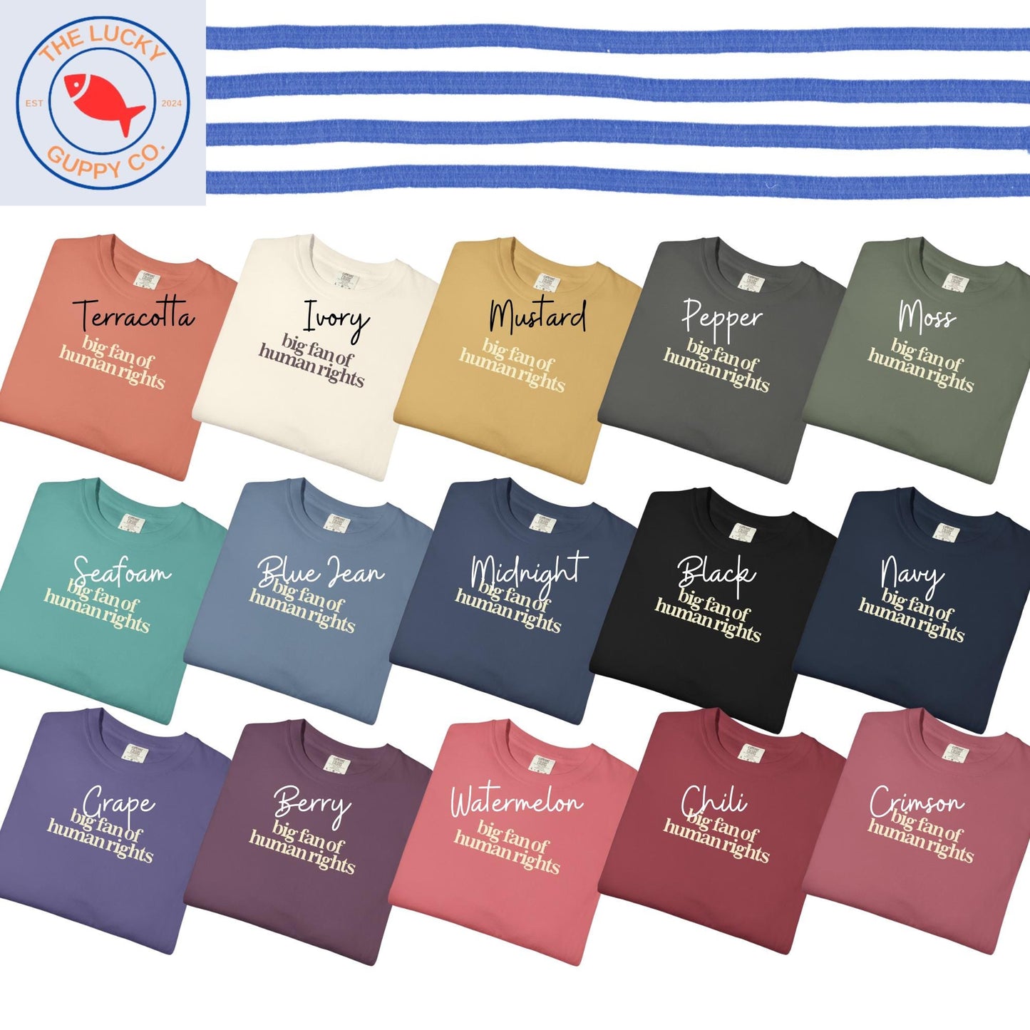 Big Fan of Human Rights Minimalist Unisex Tee, No Human is Illegal, Radicalized by Basic Decency, Make America Kind Again, Practice Empathy