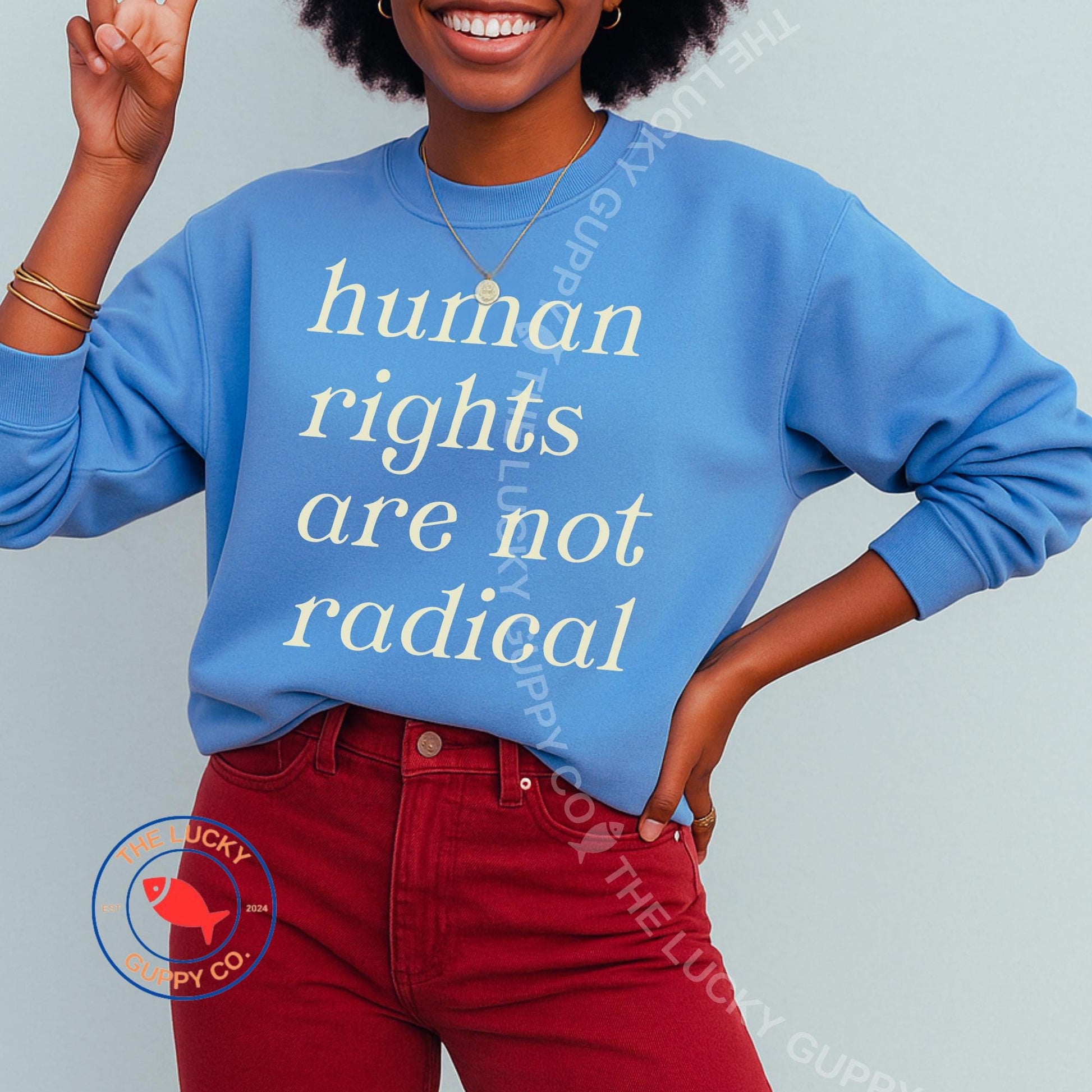 Human Rights are Not Radical Unisex Sweatshirt, Caring About Others is Not Political, Practice Radical Empathy, Big Fan of Equal Rights Tee