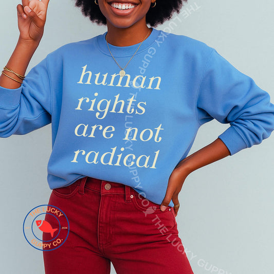 Human Rights are Not Radical Unisex Sweatshirt, Caring About Others is Not Political, Practice Radical Empathy, Big Fan of Equal Rights Tee