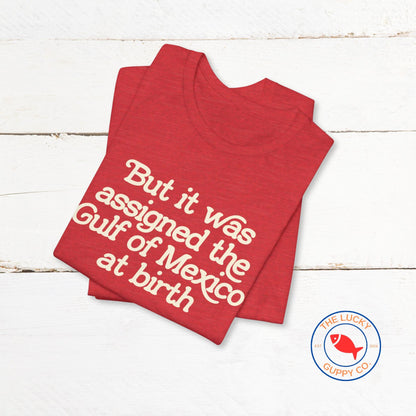 But It Was Assigned the Gulf of Mexico at Birth Unisex T-Shirt