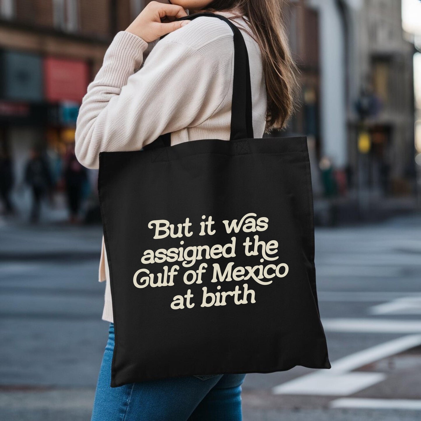 assigned the Gulf of Mexico at birth black canvas tote bag, defend equality, support trans kids, liberal tote bag, pro america anti trump