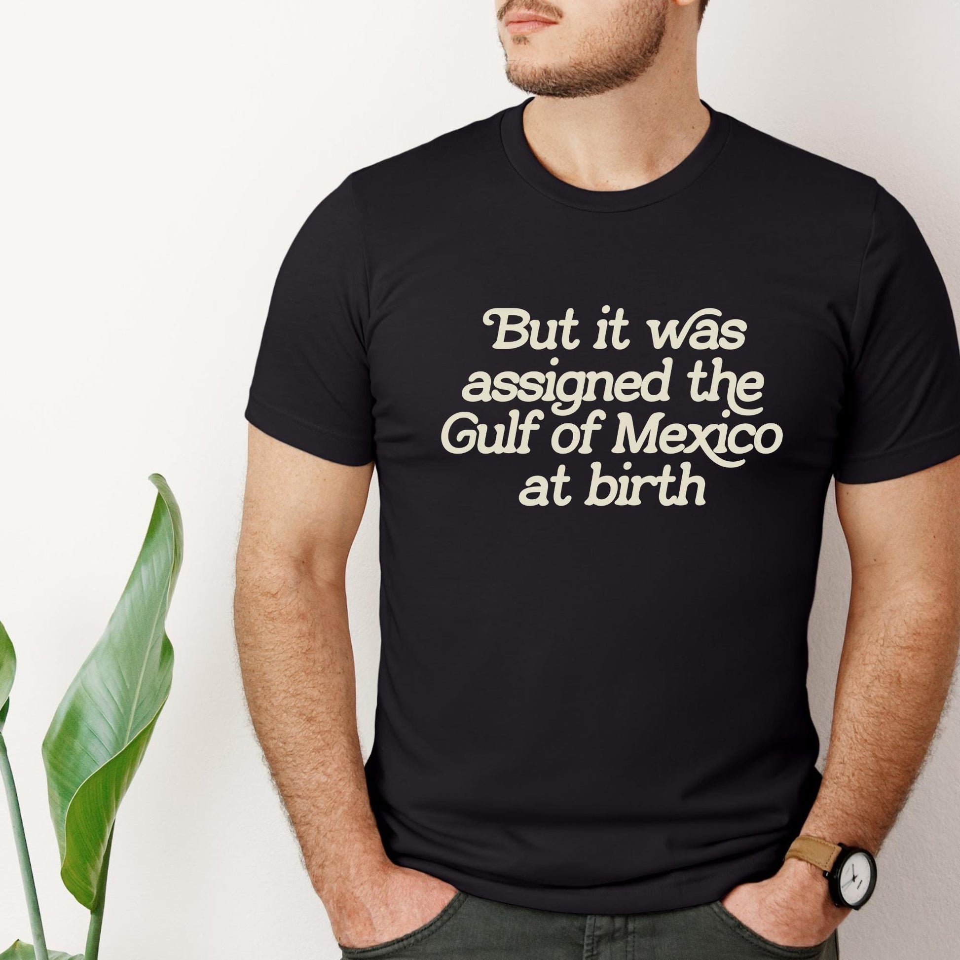 assigned the Gulf of Mexico at birth tshirt, deport elon tshirt, subtle f trump, are your eggs cheaper yet, hate never made America great