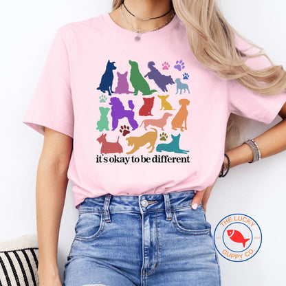 its okay to be different rainbow dog unisex shirt, celebrate diversity, celebrate minds of all kinds, sped teacher, everyone is welcome here