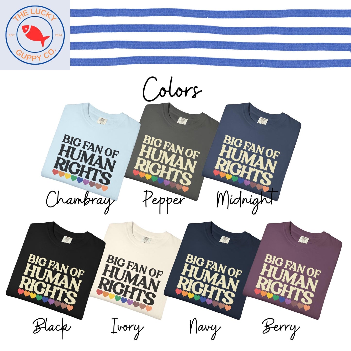 Big Fan of Human Rights Unisex TShirt, Defend Equality Rainbow Pride Shirt, Fight for Those Without Your Privilege, Create a Kinder World