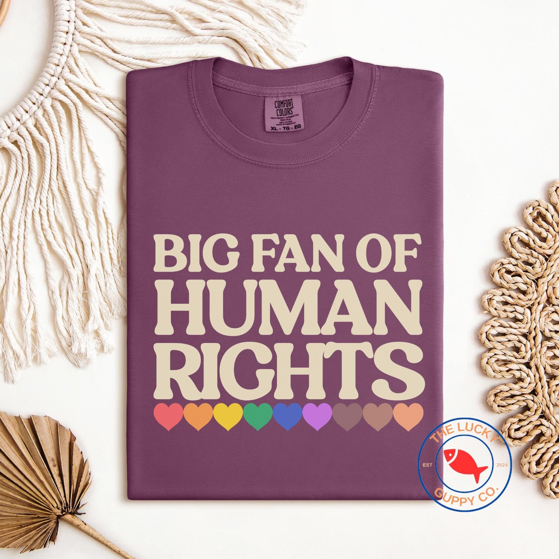 Big Fan of Human Rights Unisex TShirt, Defend Equality Rainbow Pride Shirt, Fight for Those Without Your Privilege, Create a Kinder World