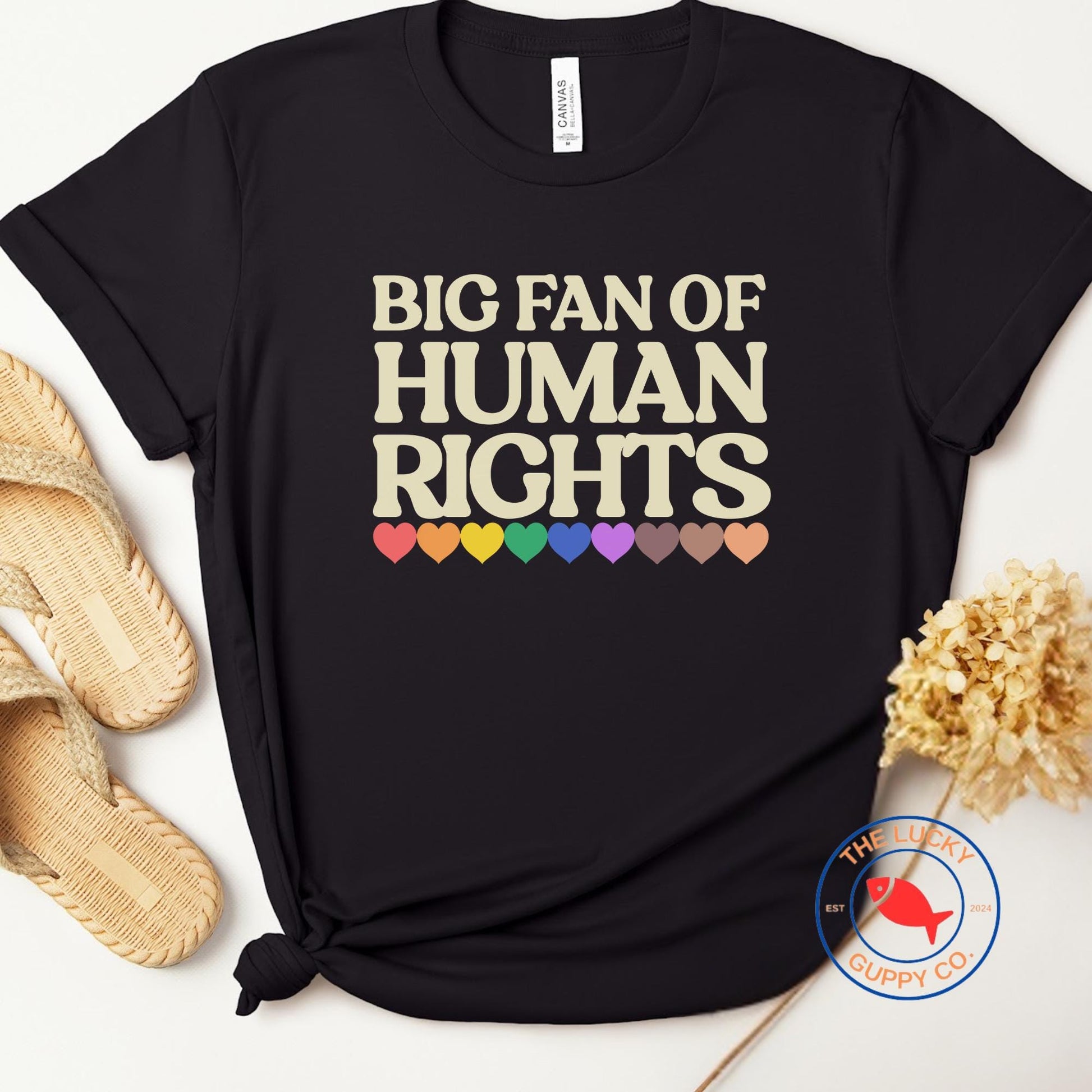 Big Fan of Human Rights Unisex TShirt, Defend Equality Rainbow Pride Shirt, Fight for Those Without Your Privilege, Create a Kinder World