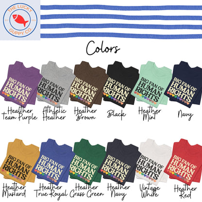 Big Fan of Human Rights Unisex TShirt, Defend Equality Rainbow Pride Shirt, Fight for Those Without Your Privilege, Create a Kinder World