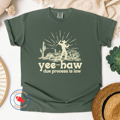 yes haw due process is law liberal cowboy unisex tshirt, make habeas corpus great again, see you in court bitch, tortured lawyers department