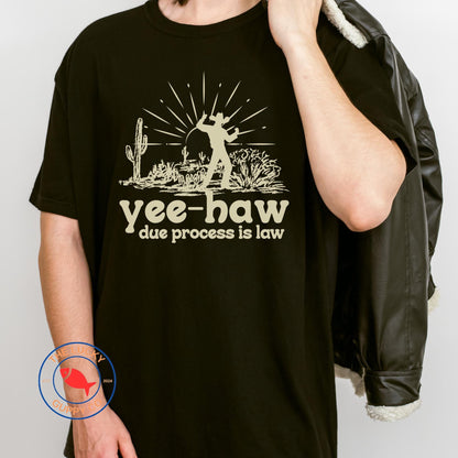 yes haw due process is law liberal cowboy unisex tshirt, make habeas corpus great again, see you in court bitch, tortured lawyers department