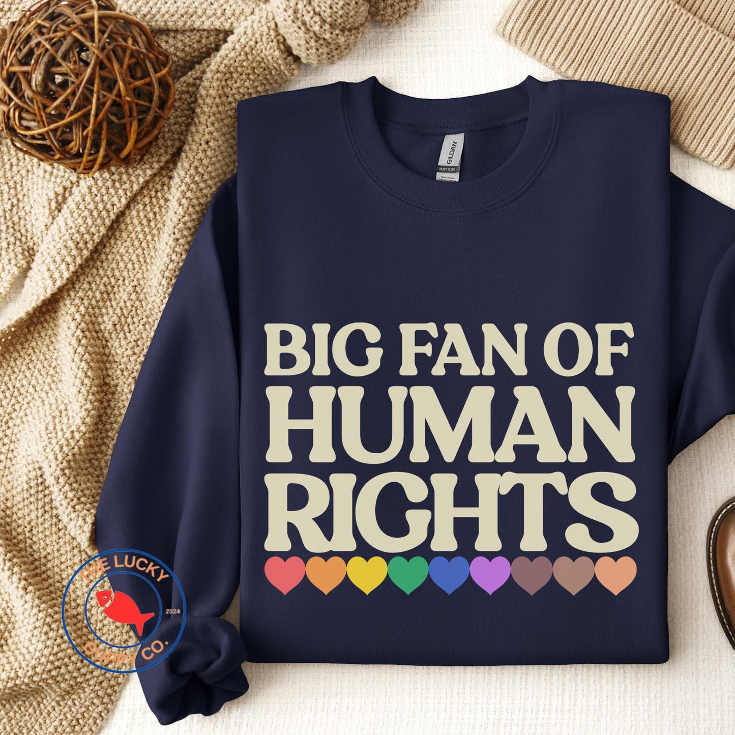 Big Fan of Human Rights Unisex Sweatshirt, Defend Equality Tee, Practice Radical Empathy, No Human is Illegal, Radicalized by Basic Decency