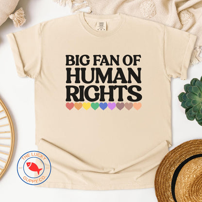 Big Fan of Human Rights Unisex TShirt, Defend Equality Rainbow Pride Shirt, Fight for Those Without Your Privilege, Create a Kinder World