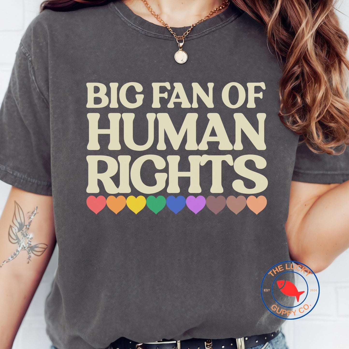 Big Fan of Human Rights Unisex TShirt, Defend Equality Rainbow Pride Shirt, Fight for Those Without Your Privilege, Create a Kinder World