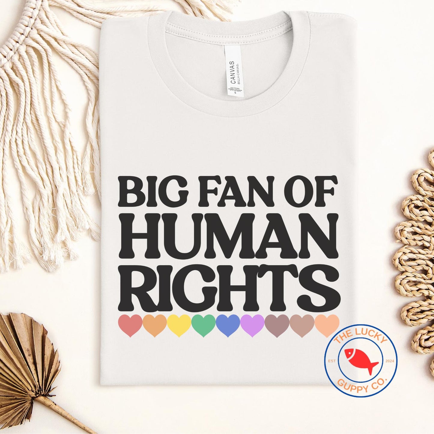 Big Fan of Human Rights Unisex TShirt, Defend Equality Rainbow Pride Shirt, Fight for Those Without Your Privilege, Create a Kinder World