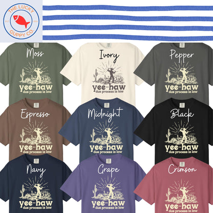 yes haw due process is law liberal cowboy unisex tshirt, make habeas corpus great again, see you in court bitch, tortured lawyers department