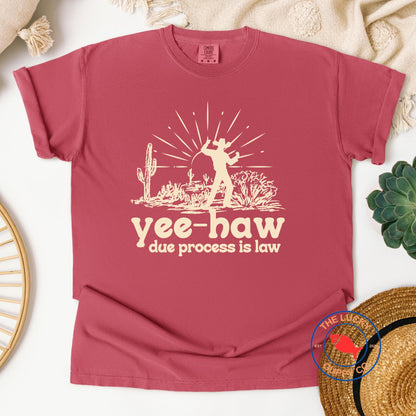 yes haw due process is law liberal cowboy unisex tshirt, make habeas corpus great again, see you in court bitch, tortured lawyers department