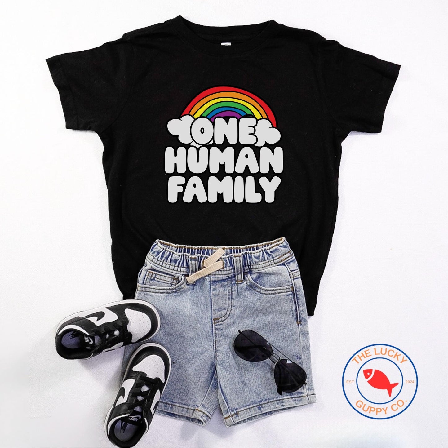one human family toddler tshirt, support your fruity friends, raise them kind, mini feminist shirt, proud ally shirt, you are safe with me