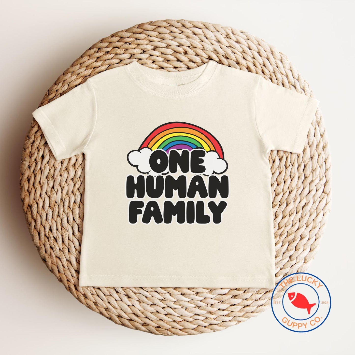 one human family toddler tshirt, support your fruity friends, raise them kind, mini feminist shirt, proud ally shirt, you are safe with me