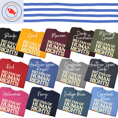 Big Fan of Human Rights Unisex Sweatshirt, Defend Equality Tee, Practice Radical Empathy, No Human is Illegal, Radicalized by Basic Decency