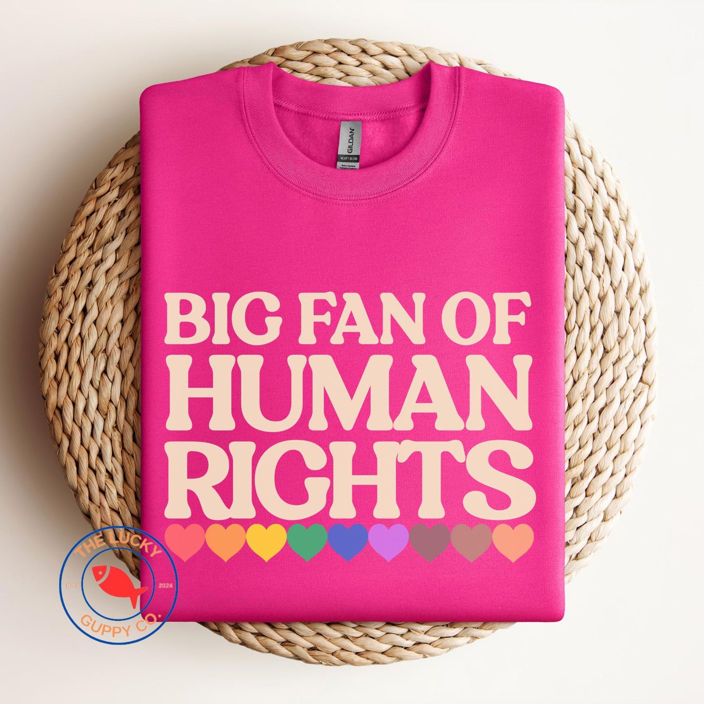Big Fan of Human Rights Unisex Sweatshirt, Defend Equality Tee, Practice Radical Empathy, No Human is Illegal, Radicalized by Basic Decency
