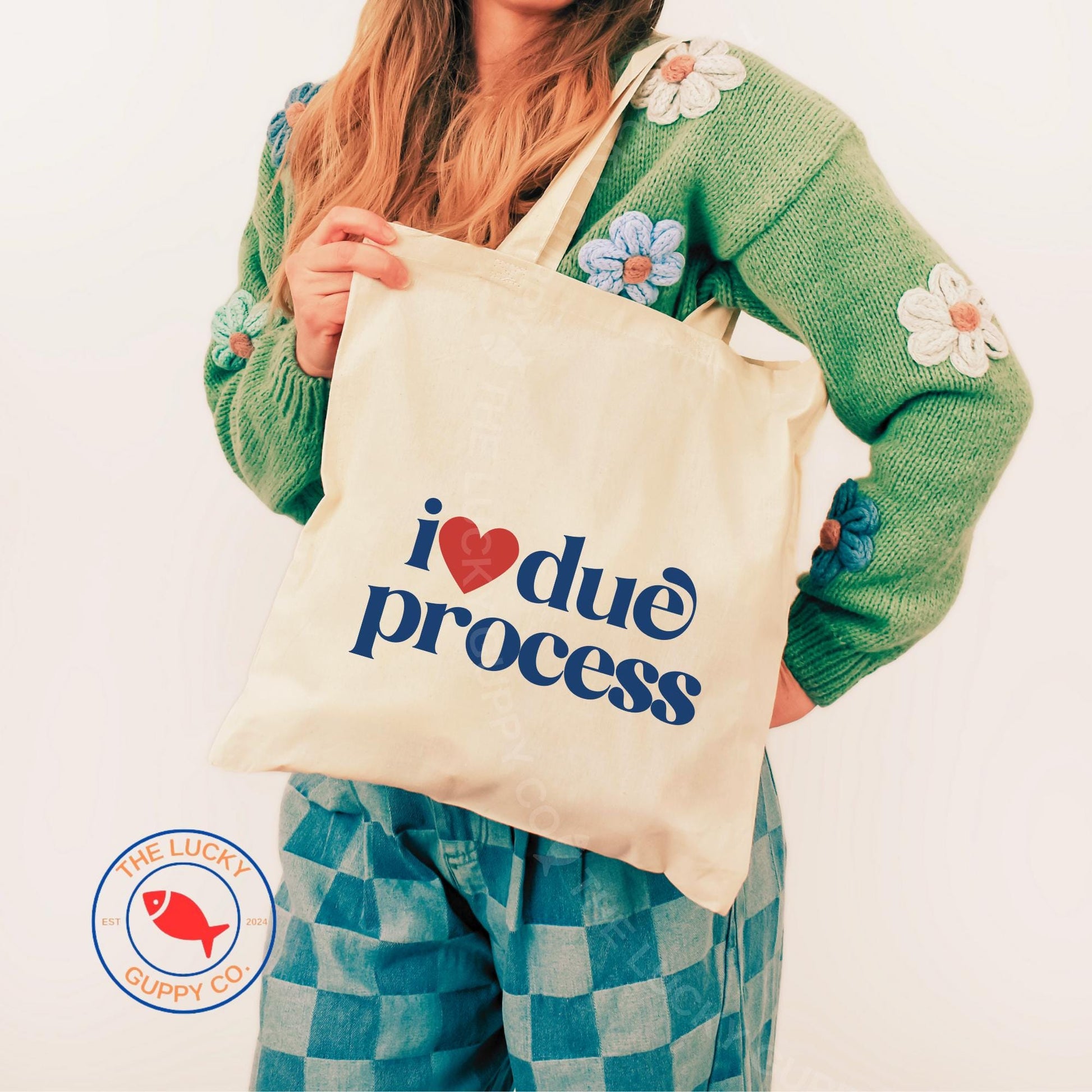 I Love Due Process Canvas Tote Bag, Save Democracy, Due Process is Law, Support Immigrants, No Human is Illegal, Make America Kind Again