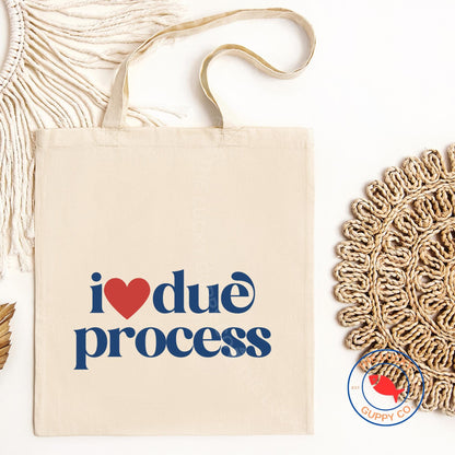 I Love Due Process Canvas Tote Bag, Save Democracy, Due Process is Law, Support Immigrants, No Human is Illegal, Make America Kind Again