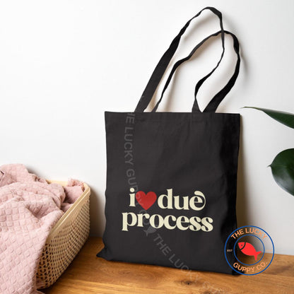 I Love Due Process Canvas Tote Bag, Save Democracy, Due Process is Law, Support Immigrants, No Human is Illegal, Make America Kind Again