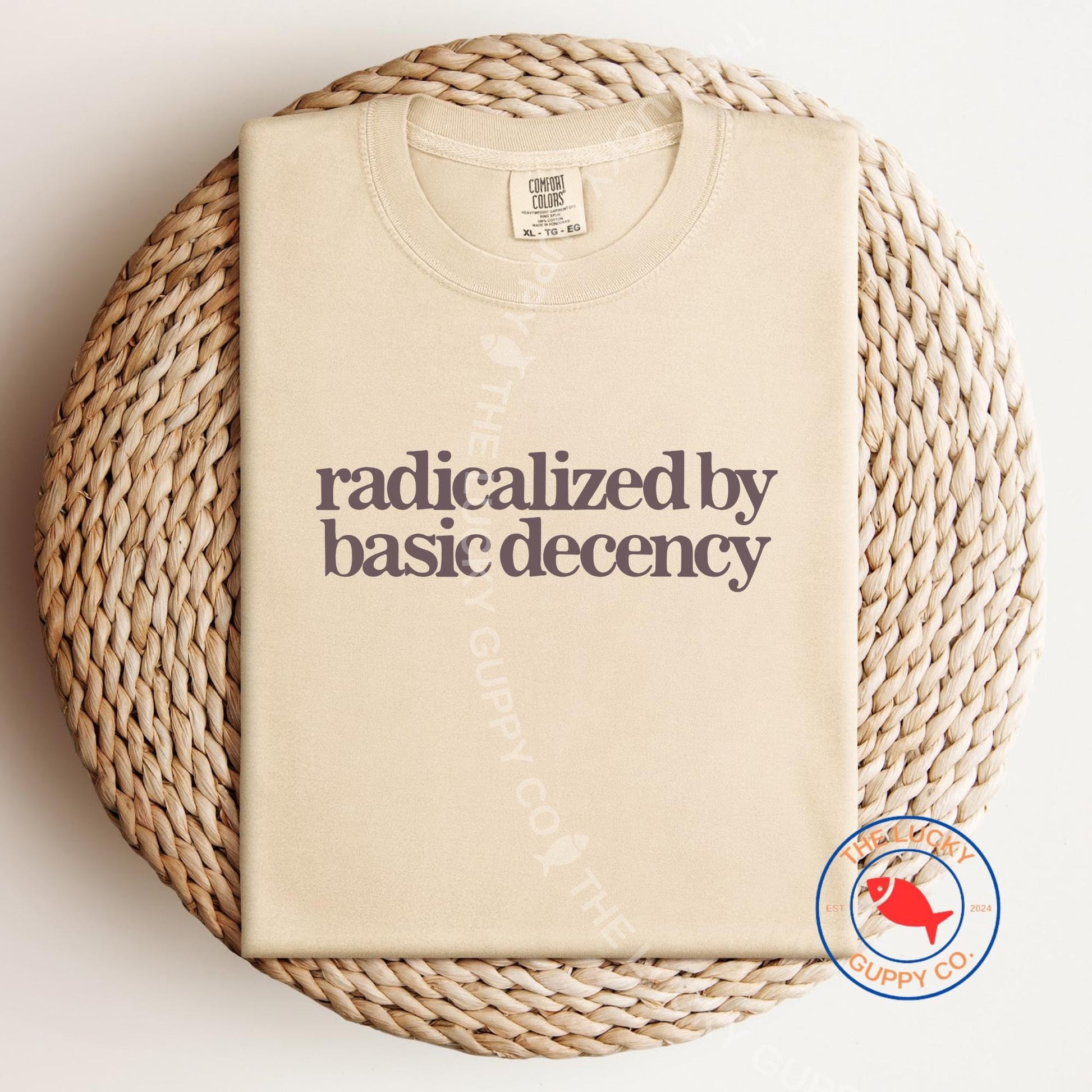 Radicalized by Basic Decency Minimalist TShirt, Make Empathy Great Again, Caring About other People is not Political, Be a Kind Human Shirt
