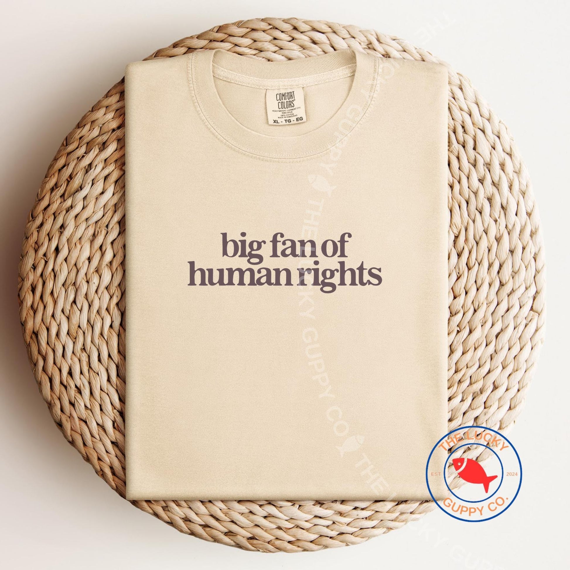 Big Fan of Human Rights Minimalist Unisex Tee, No Human is Illegal, Radicalized by Basic Decency, Make America Kind Again, Practice Empathy