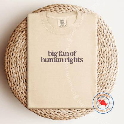 Big Fan of Human Rights Minimalist Unisex Tee, No Human is Illegal, Radicalized by Basic Decency, Make America Kind Again, Practice Empathy