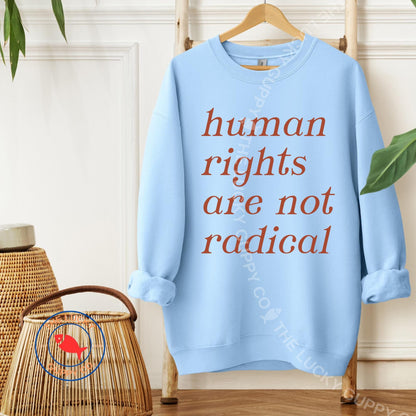 Human Rights are Not Radical Unisex Sweatshirt, Caring About Others is Not Political, Practice Radical Empathy, Big Fan of Equal Rights Tee