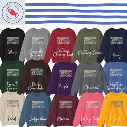 Radical Left Rainbow Sweatshirt: Human Rights, Kindness, and Equality