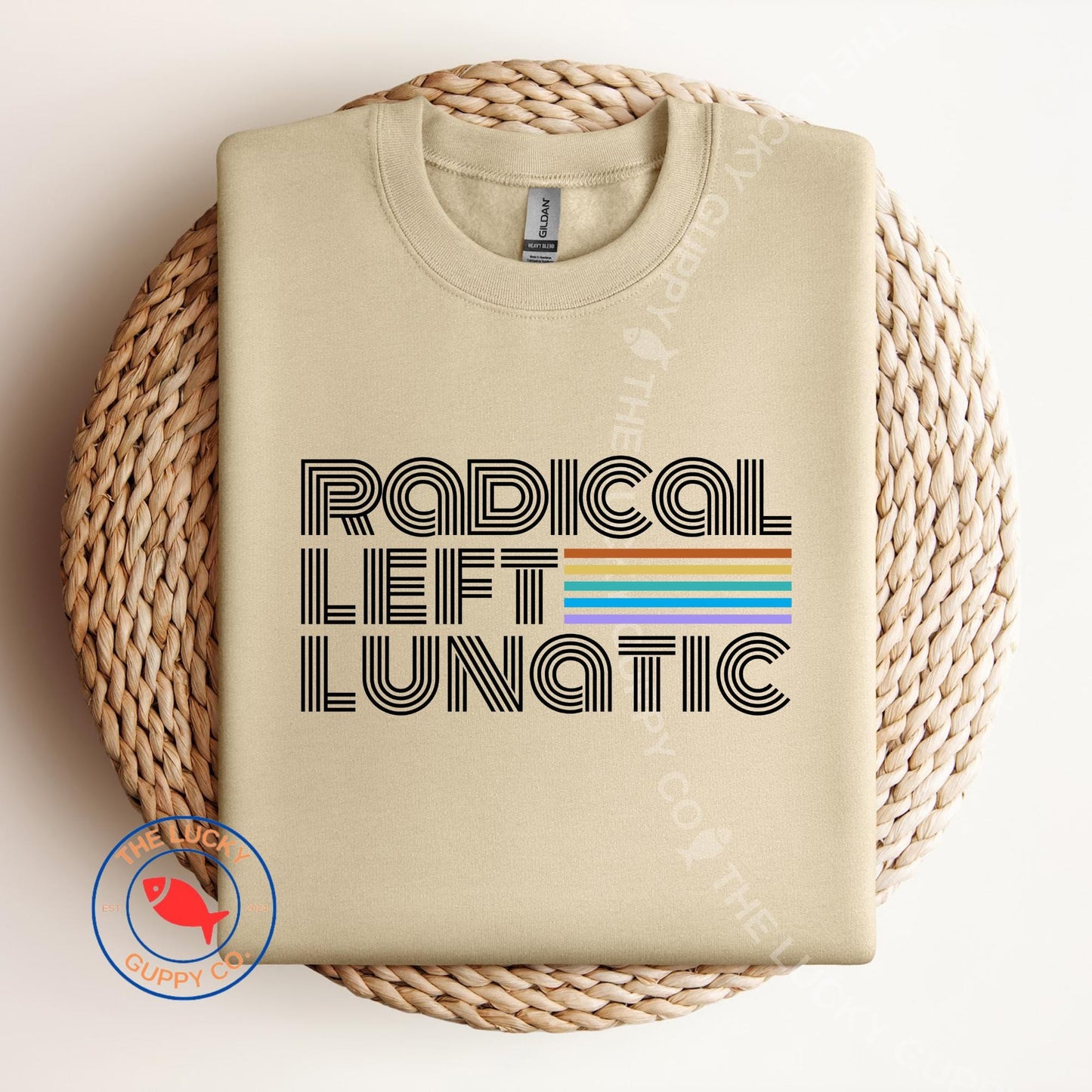 Radical Left Rainbow Sweatshirt: Human Rights, Kindness, and Equality