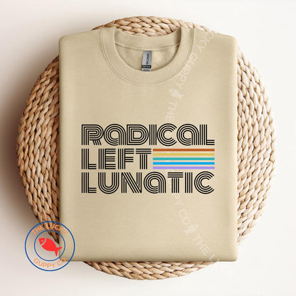 Radical Left Rainbow Sweatshirt: Human Rights, Kindness, and Equality