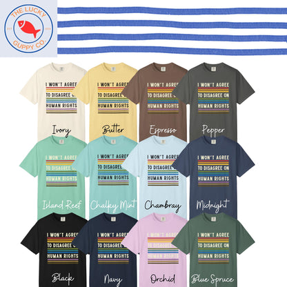 I Won't Agree to Disagree on Human Rights Unisex TShirt, Big Fan of Human Rights, Social Justice Shirt, Defend Equality Rainbow Tee, FDT