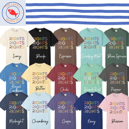 Rights Rights Rights Unisex T-Shirt, Support Neurodiversity, LGBTQ Pride Shirt, Protect the Dolls, Pro DEI Sweatshirt, Equality Hurts No One