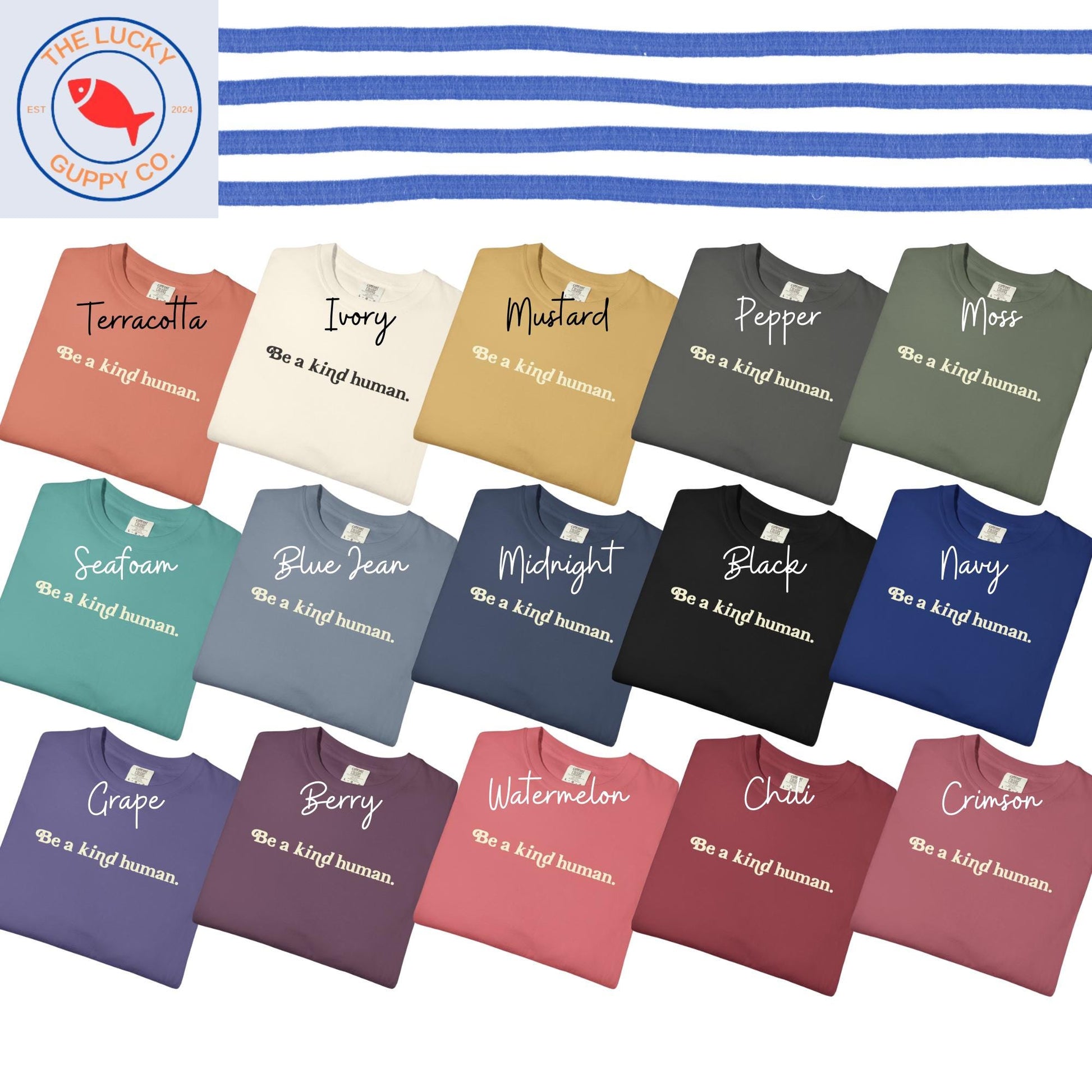 Be a Kind Human Minimalist Unisex T-Shirt, Big Fan of Human Rights, Practice Radical Empathy, Make America Kind Again, Just be Nice Dude