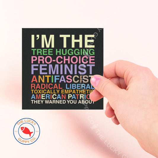 Liberal Values Car Decal: Big Scary Radical Left Agenda, Leftist Square Car Magnet Sticker